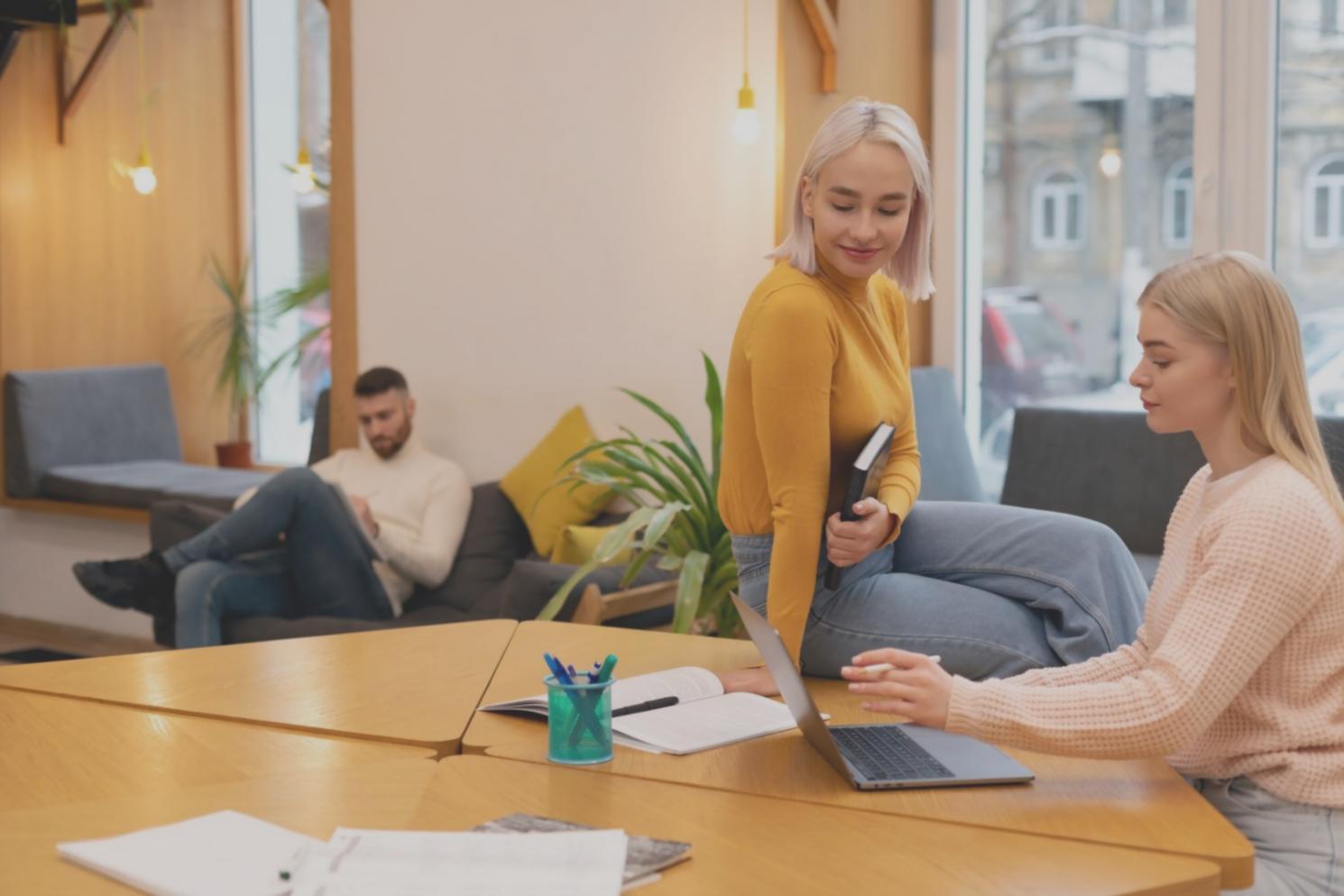 emparionlux team collaborating on financial analysis